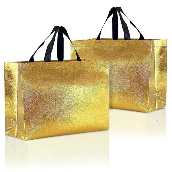 Unisex Metallic Laminated Shopping Bag | Carry Bag For Return Gifts
